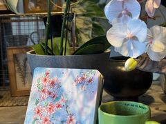 -青莯_Percher Coffee Shop(皮市街店)
