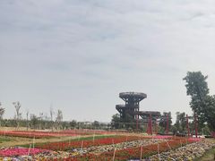 -芒洲湿地公园