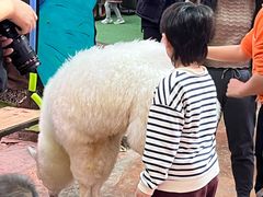 -正佳雨林生态植物园