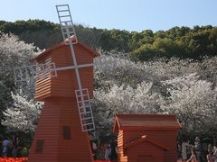 -苏州上方山国家森林公园