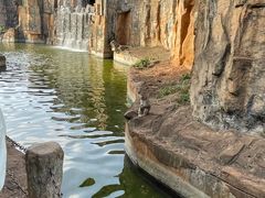 -海南热带野生动植物园