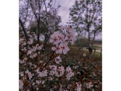 -昆山城市生态森林公园