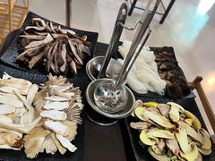 -蘑统田下·野生菌火锅