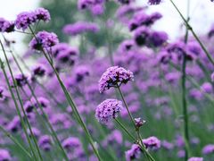 -烟水渔庄餐厅(西溪湿地店)