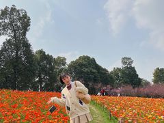 -秀丽东方