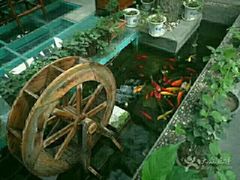 -悦真雅院·四合院·清真私房菜(雍和宫店)