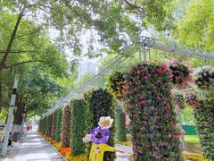 -天鹅湖体育公园