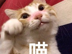 -海底捞火锅(亲子主题北金鹰店)