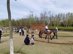 -上海长兴岛郊野公园