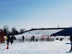 -绿野森林乐园冰雪季