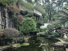 -南山植物园