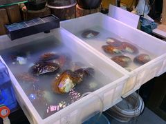 -十八字金·银饰·拼豆·开蚌DIY(魏公芳华里店)