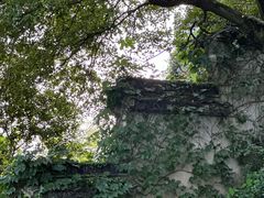 -苏州上方山国家森林公园