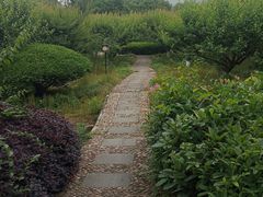 -白马涧龙池景区