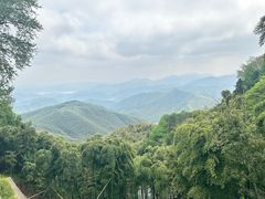 -莫干山风景区
