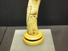 -温州博物馆