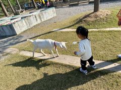 -前小桔亲子创意农场·草莓采摘·露营烧烤