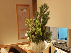 -月龍吟(朝龙汇店)