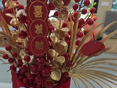 -瑞派伍一宠物医院·眼科·骨科·猫科转诊中心(马王堆院)