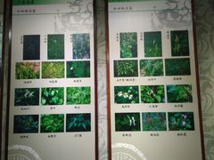 -广东中医药博物馆