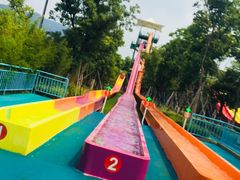 -苏州乐园森林水世界