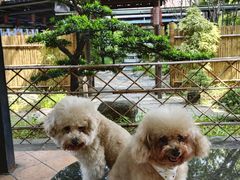 -顺德渔村·岭南一号