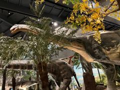 -湖南省地质博物馆