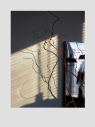 -飛凡TATTOO纹身•原创