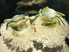 -福建省非物质文化遗产博览苑