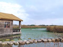 -宁波杭州湾国家湿地公园