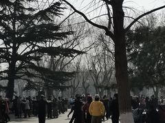 -康庄公园