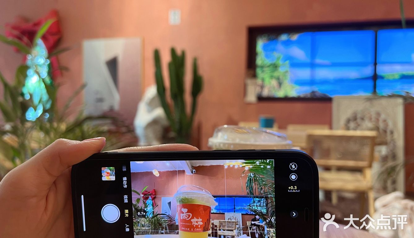 雨林～咖啡轻食打卡