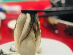 生蚝-花苑美食横琴生蚝火锅(拱北粤华路店)