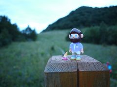 -白草畔自然风景区