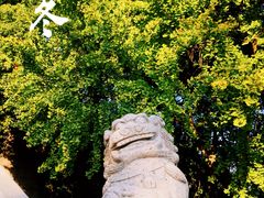 -阅江楼风景区