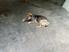 -途中饭店(开化店)