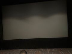 -金逸影城(大悦城IMAX激光店)
