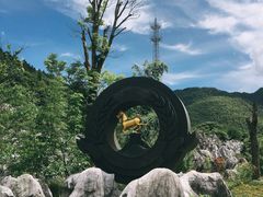 -千岛湖石林
