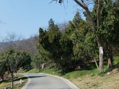 -镇江市南山风景名胜区竹林景区