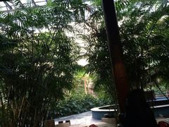 -龙达温泉生态城