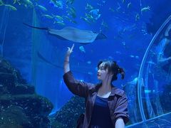 -威海华夏城景区