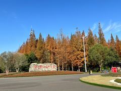 -东平国家森林公园