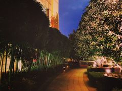 -杭州君悦酒店