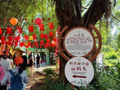 -星湖旅游景区七星岩