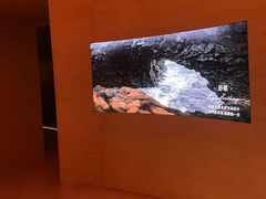 -舒小悦·舒养SPA·古法推拿(光环中心店)