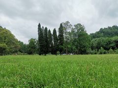 -贵州省植物园