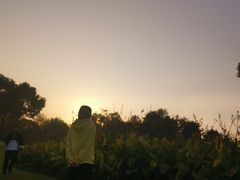 -滨湖塘西河公园