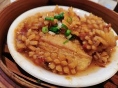 葱味酱蒸鲜鱿鱼-万龙洲海鲜(大兴绿地缤纷城店)