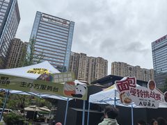 -合景·悠方(成都店)