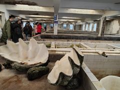 -硇洲岛旅游区